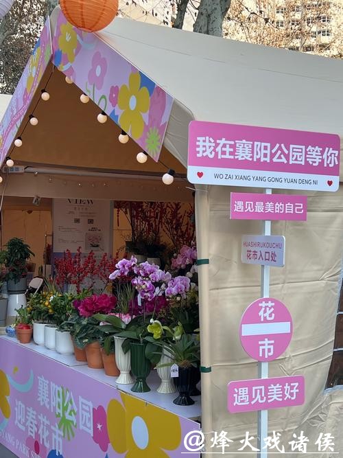 上海老牌花市焕新升级,新增6300㎡公园绿地;新年表情包界“萌王”来啦 上海老牌花市焕新升级,新增6300㎡公园绿地;新年表情包界“萌王”来啦